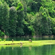 Ba Be National Park, Vietnam
