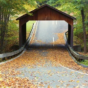 Pierce Stocking Scenic Drive, Michigan