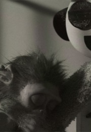 Monkey Love Experiments (2014)