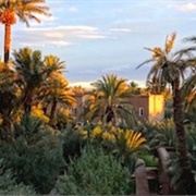 Skoura Palmeraie, Morocco