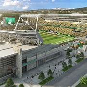 Colorado State University