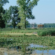 Montezuma National Wildlife Refuge