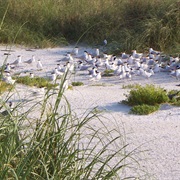Passage Key National Wildlife Refuge