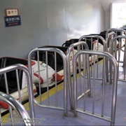 Dark Coaster (Atlantis Land)