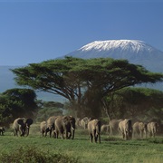 Kilimanjaro National Park