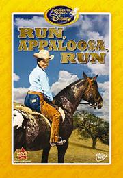 Run, Appaloosa, Run