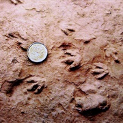 Parrsboro Rock and Mineral Shop Museum, Parrsboro, Nova Scotia