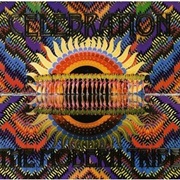 Celebration - The Modern Tribe