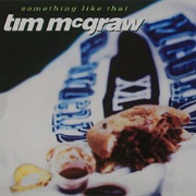 Tim McGraw - Something Like That