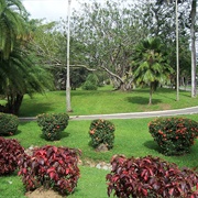 Botanical Gardens, Trinidad and Tobago