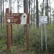 Big Branch Marsh National Wildlife Refuge
