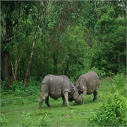 Chitwan National Park