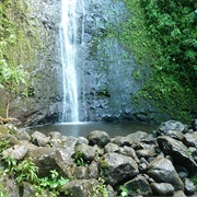 Manoa Falls, Ohau