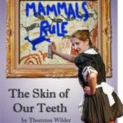 The Skin of Our Teeth