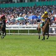 Uttoxeter Race Course