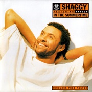 In the Summertime - Shaggy Featuring Rayvon