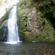 Wentworth - Coromandel