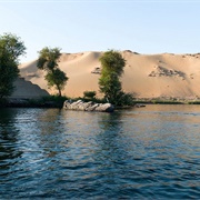 Saluga and Ghazal Isles Birdwatching, Aswan