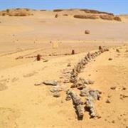 Wadi Al-Hitan (Whale Valley)
