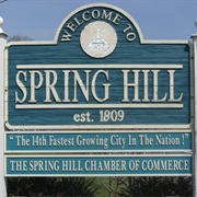 Spring Hill, Tennessee