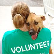 Work at a Vet Hospital/Shelter
