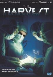The Harvest