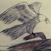 Eagle Meagan Scribner