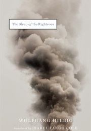 The Sleep of the Righteous (Wolfgang Hilbig)