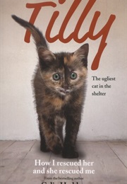 Tilly: The Ugliest Cat in the Shelter (Celia Haddon)