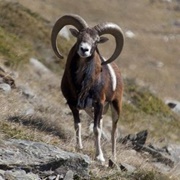 Vall De Nuria, Spain