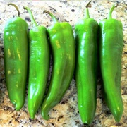 Anaheim Pepper