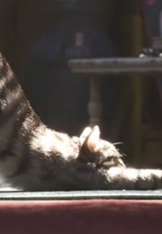 Dragon, Toy Story 4 (2019)