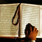 Read the Koran