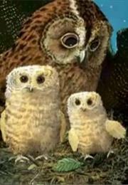 Owl Babies