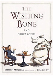 The Wishing Bone and Other Poems (Stephen Mitchell)