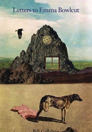 Letters to Emma Bowlcut (Bill Callahan)