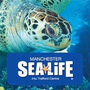 Manchester Sea Life Centre