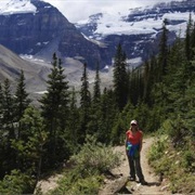 Attempt Lake Louise Tea House Challenge, AB
