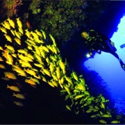 Maaya Thila, Maldives