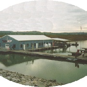 Golconda Marina State Recreation Area, Illinois