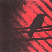 Silver Mt. Zion Memorial Orchestra & Tra-La-La Band - "Born Into Trouble as the Sparks Fly Upward"