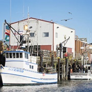 Westport, Washington