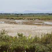 Albufeira Marshes, Mallorca