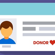Organ Donor