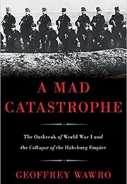 A Mad Catastrophe (Geoffrey Wawro)