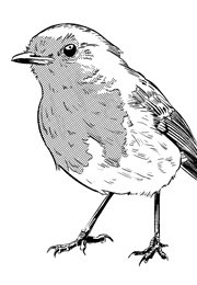 סוד הגן הנעלם (פרנסס הודג'סון ברנט)