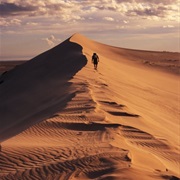 Athabasca Provincial Park Is Home to the World's Most Northern Sand Dunes