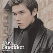 Don't Let Go - David Sneddon