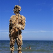 First Lights Festival