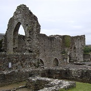 St Dogmaels Abbey (Cadw)
